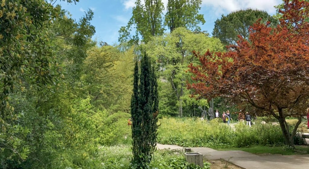 Gulbenkian Jardim